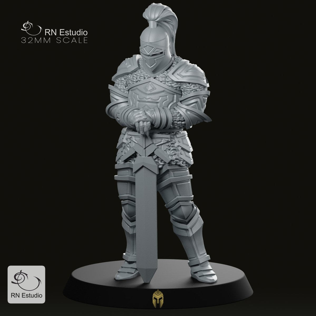 Knight Aaron Miniature - We Print Miniatures