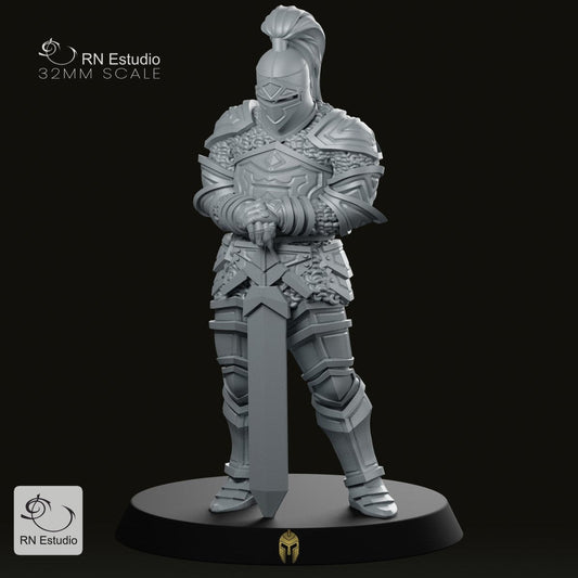 Mysterious Warrior – Knight Aaron Fantasy Miniature for Tabletop RPGs - We Print Miniatures
