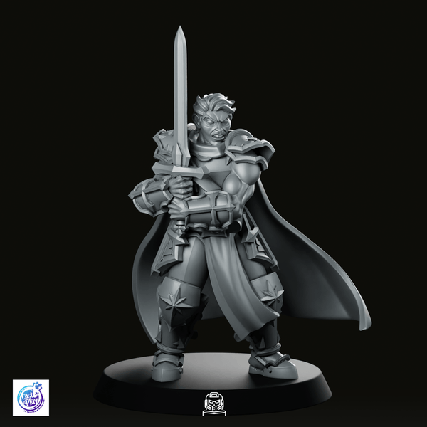 Paladin Stance Miniature - We Print Miniatures