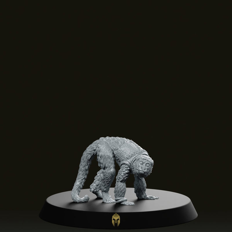 Pirate Monkey Miniature - We Print Miniatures
