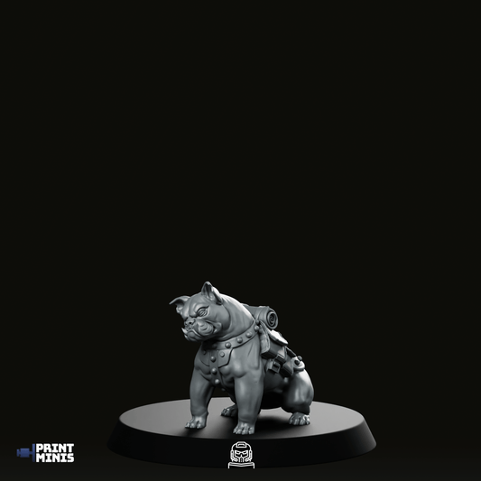 Rat Dog Sitting Miniature - We Print Miniatures