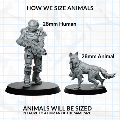 Armillo General B Pet Armadillo Miniature - CastNPlay - We Print Miniatures