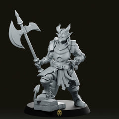Arnulf Of Silverlake Miniature - CastNPlay - We Print Miniatures