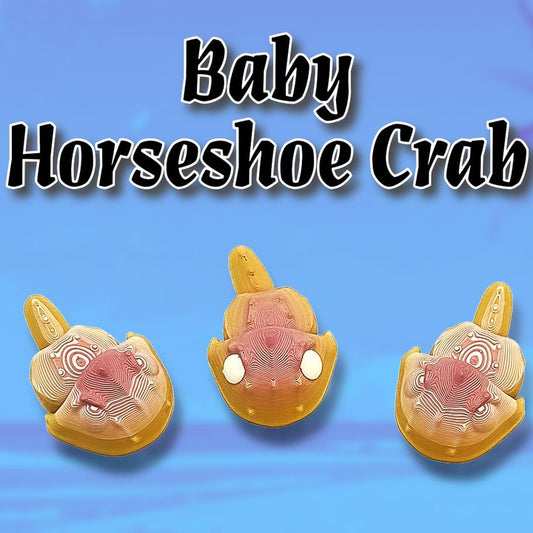 Baby Horseshoe Crab - Meliora3D - We Print Miniatures