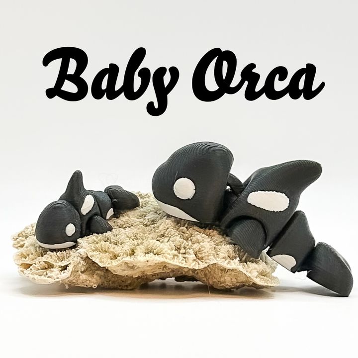 Baby Orca - Meliora3D - We Print Miniatures