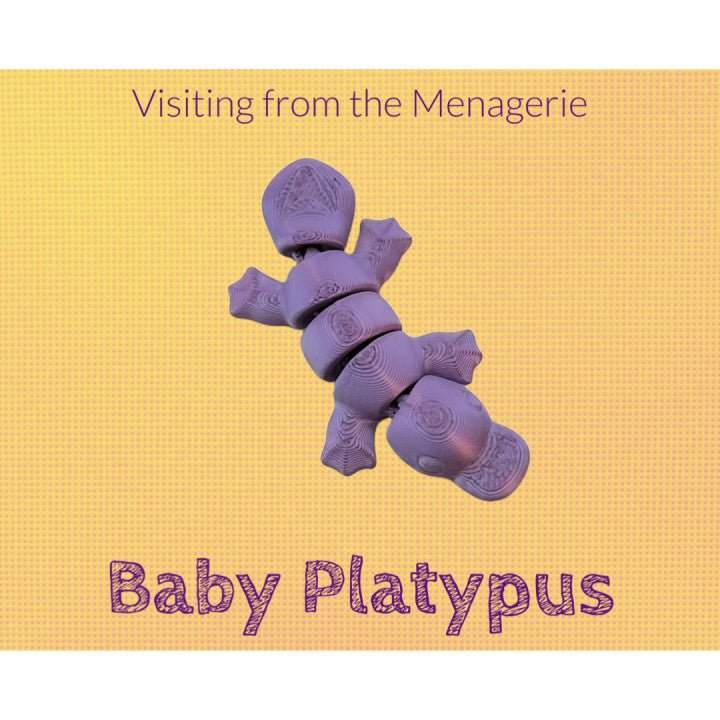 Baby Platypus - Meliora3D - We Print Miniatures