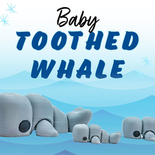 Baby Toothed Whale - Meliora3D - We Print Miniatures