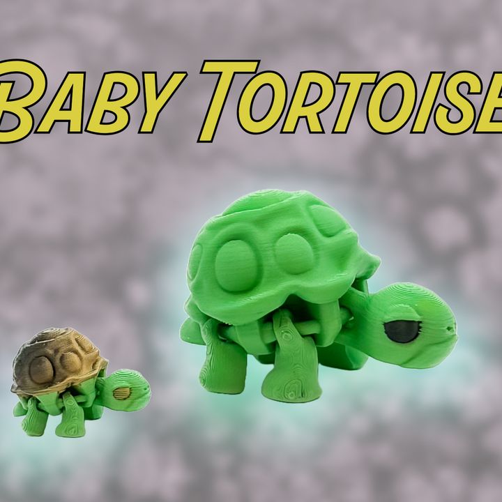 Baby Tortoise - Meliora3D - We Print Miniatures