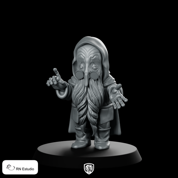 Balin Dwarf Miniature Grizzled Hooded Wise Hero