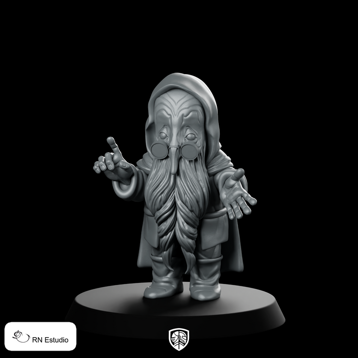 Balin Dwarf Miniature Grizzled Hooded Wise Hero