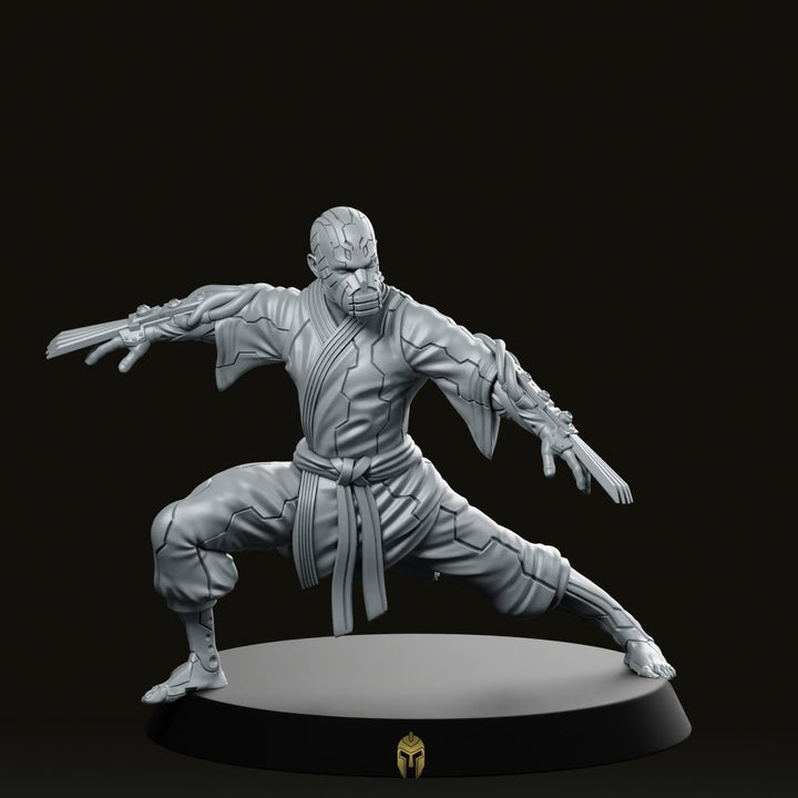 BaoHu Final 2 Cyberpunk Miniature Ninja Resin Figure