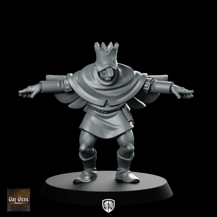 Bird King Miniature Fantasy NPC Resin Character