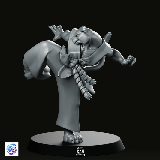 Catfolk Monk C Miniature - CastNPlay - We Print Miniatures