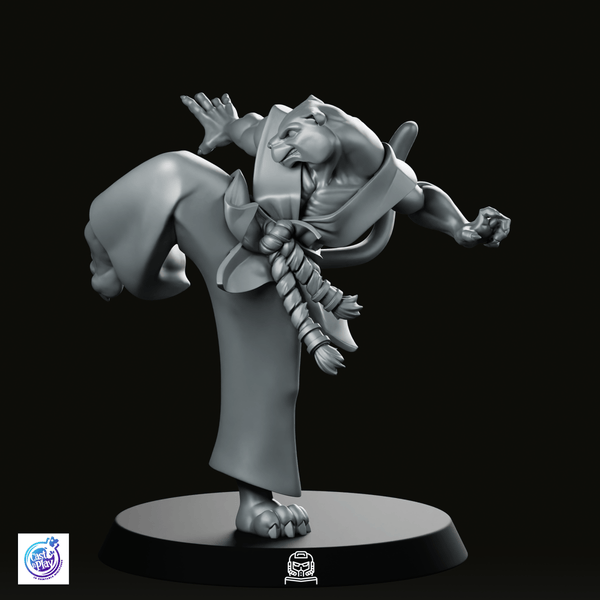 Catfolk Monk C Miniature - CastNPlay - We Print Miniatures