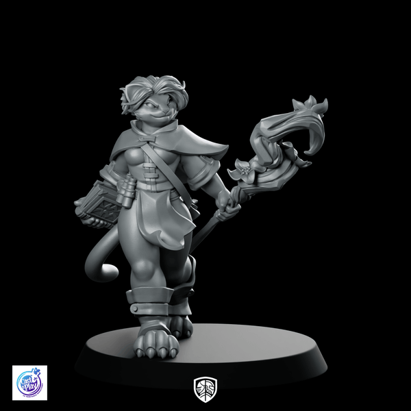 Catfolk Wizard A Miniature Arcane Spellcaster Mage - CastNPlay - We Print Miniatures