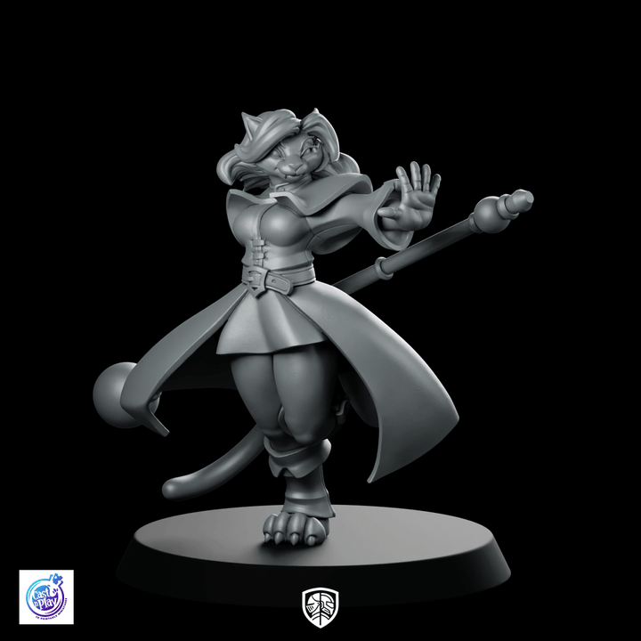 Katzenvolk-Zauberer B Miniatur