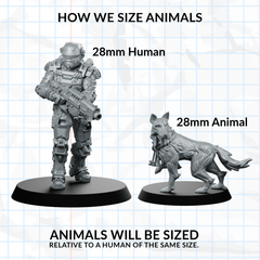 Companion Mastin Dog Miniature - CastNPlay - We Print Miniatures