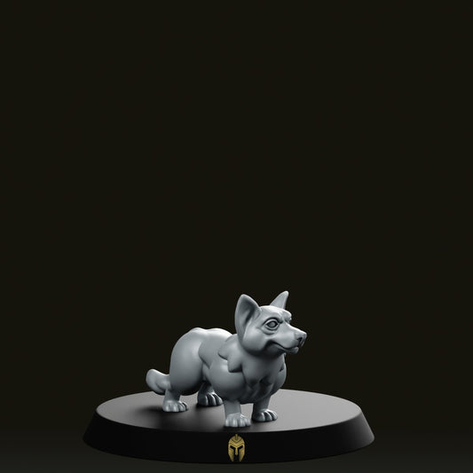 Corgi 01 Miniature - Vae Victus Miniatures - We Print Miniatures