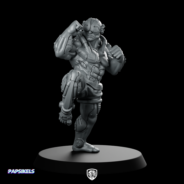 Cyber Mma Fighter Zagat Cyborg Fighter