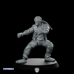 Cyberpunk Kungfu Master Fight Stance Brawler Fighter