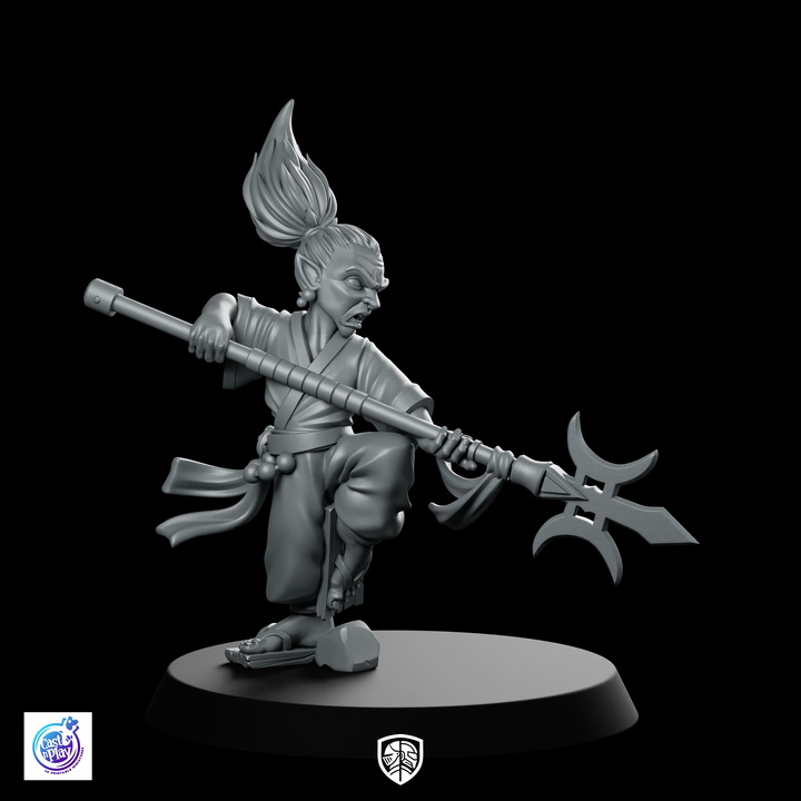 Miniatura Fantasy Discepolo in Posizione di Combattimento, Monaco Guerriero con Lancia