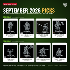 D&D Miniatures Mystery Box thumbnail 2