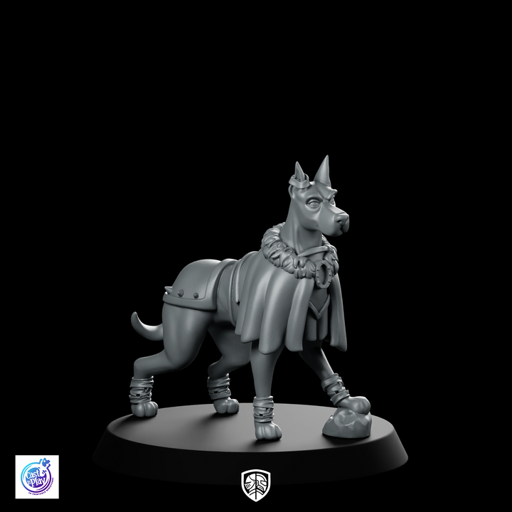 Dober Royal Pet Dog Miniature Regal Cloaked Hound