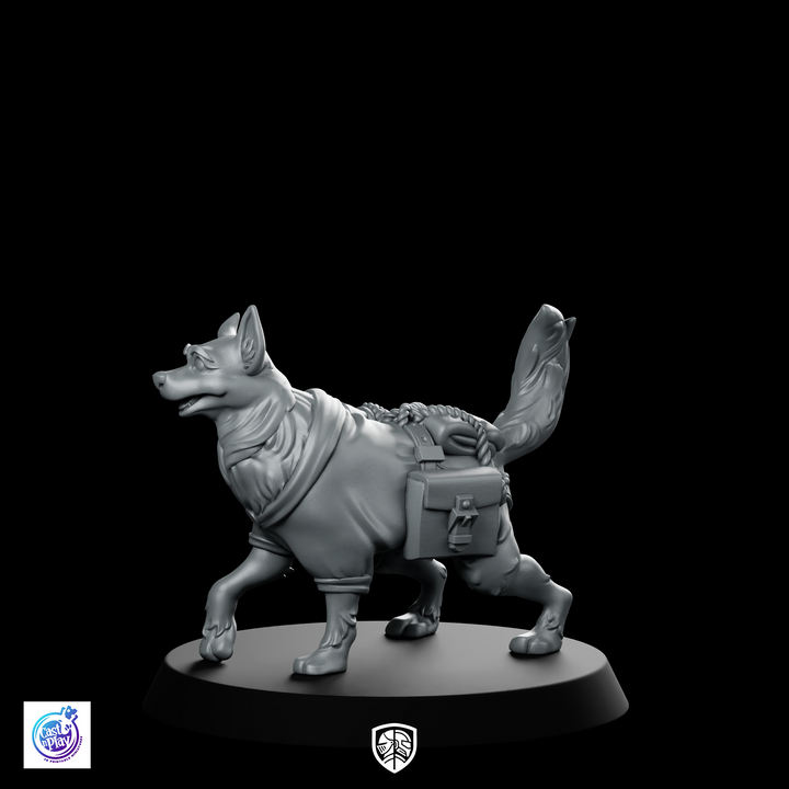 Duitse ontdekkingsreiziger, miniatuur, avontuurlijke roedelhond, gezelschapsdier