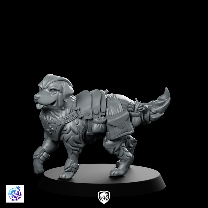 Dog Gold Rogue B Huisdier Miniatuur Avonturier Metgezel