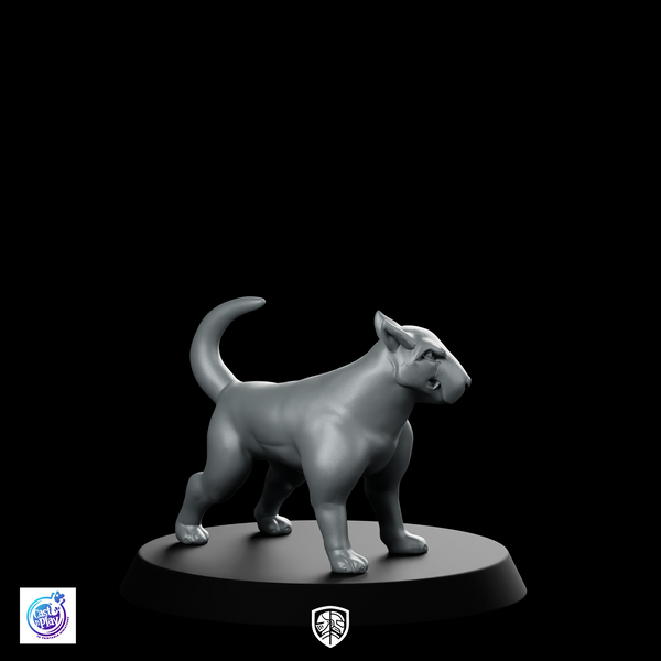 Dog Terrix Bare A Companion Miniature Ferocious