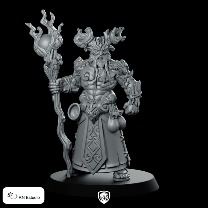 Druid Aerline Fantasy Miniature Horned Staff Mage