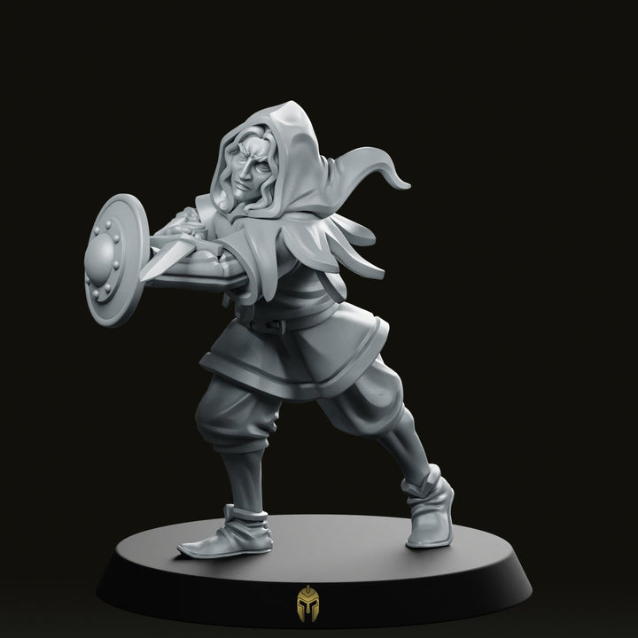 Duellist Fantasy Miniature Hooded Sword Buckler Fighter