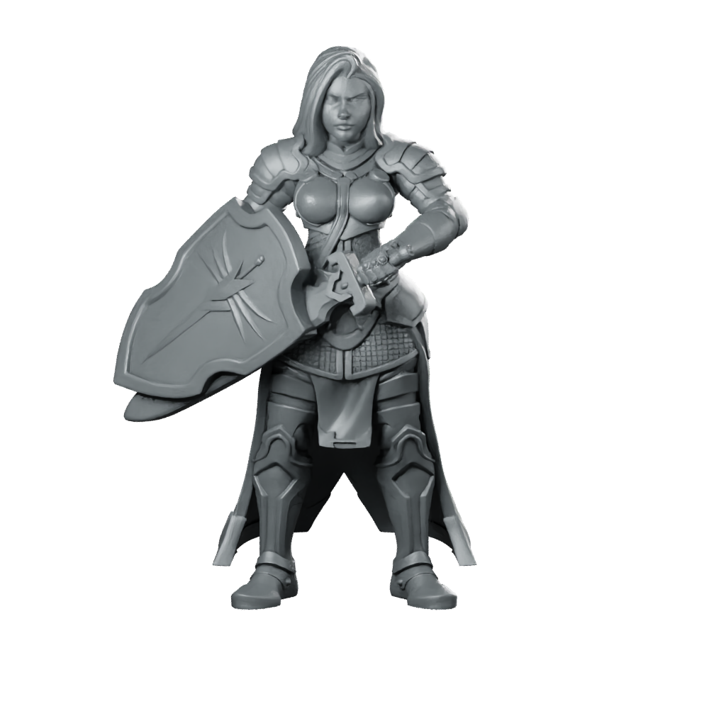 Paladin Miniature Miniature 360 Spin 01