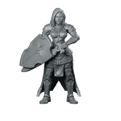 Paladin Miniature Miniature 360 Spin 01