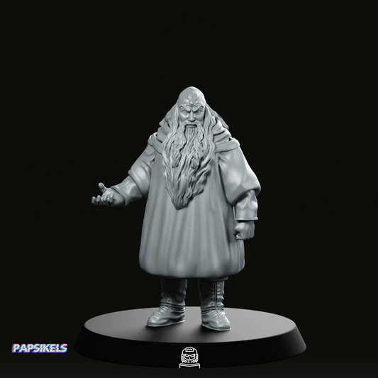 Elder Scientist Papsilord Miniature - Papsikels Miniatures - We Print Miniatures