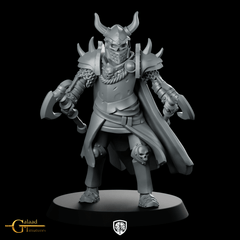 Elite 01 Miniature Horned Knight Duellist - Galaad - We Print Miniatures