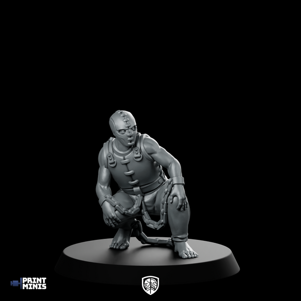 Fanatic 04 Fantasy Miniature Vengeful Prisoner Stocks