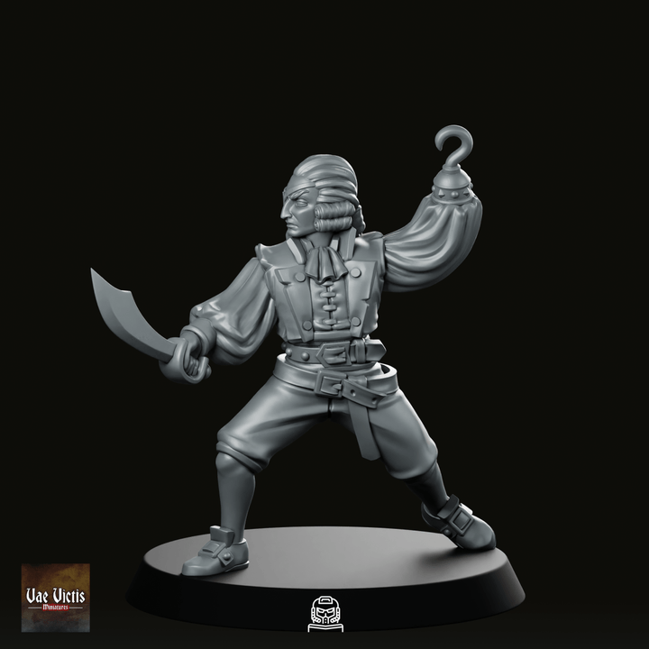Fancy Pirate Combat Miniature Swashbuckling Hookhand Rogue