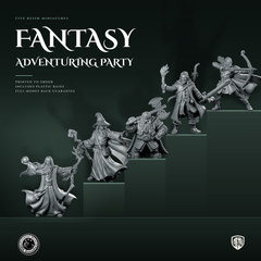 Fantasy Adventuring Party Bundle: 5 Resin Miniatures