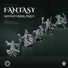 Fantasy Adventuring Party Bundle: 5 Resin Miniatures
