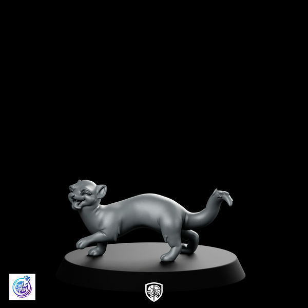 Farrat Bare B Pet Ferret Miniature Playful