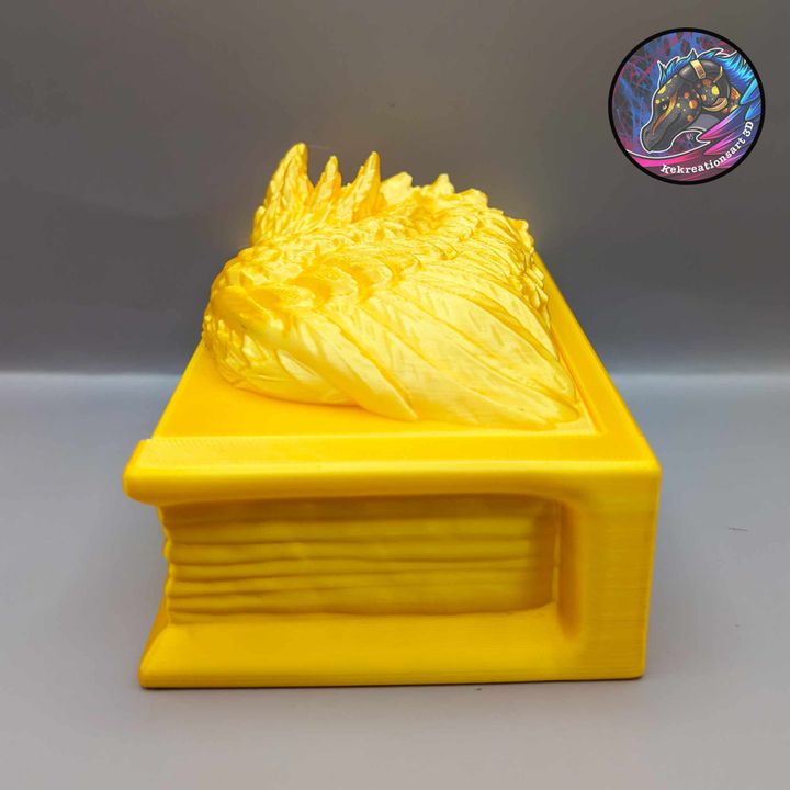 Feather Dragon Book Box - Kirsten M - We Print Miniatures