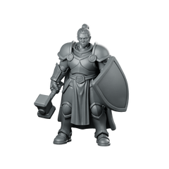 Female Human Paladin With And Heater Miniature Miniature 360 Spin 01