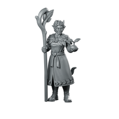Female Tiefling Druid With Staff Miniature Miniature 360 Spin 01