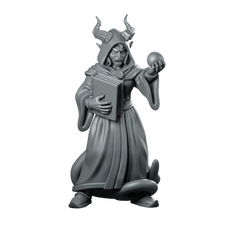 Female Tiefling Warlock With Tome And Miniature Miniature 360 Spin 01