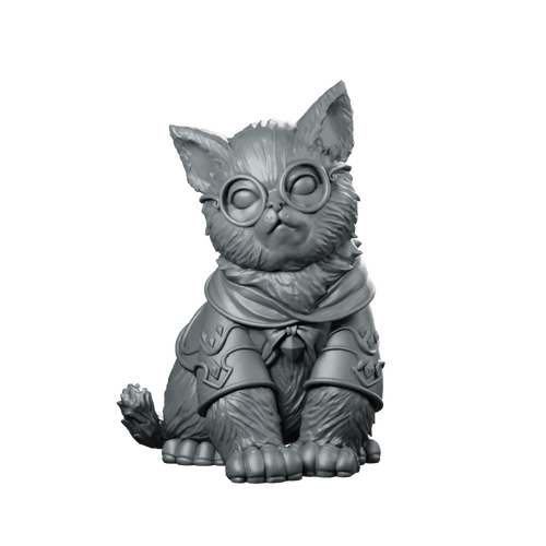 Wizard Gaton Mage Cat Miniature Cute Familiar Spellcaster Miniature 360 Spin 01
