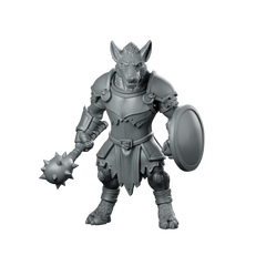 Gnoll With Mace And Shield Miniature Warrior Miniature 360 Spin 01
