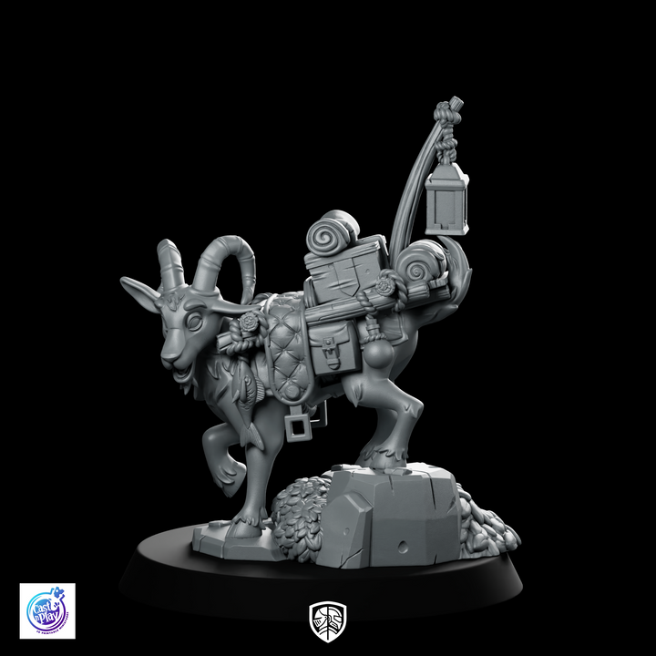 Geit kreeg ontdekkingsreiziger, een miniatuur pakmuildier.
