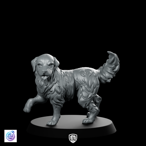 Gold Bare B Dog Pet Miniature Friendly Hound