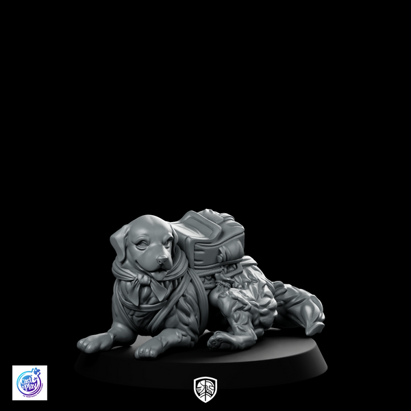 Gold Explorer B Dog Miniature Loyal Packhound